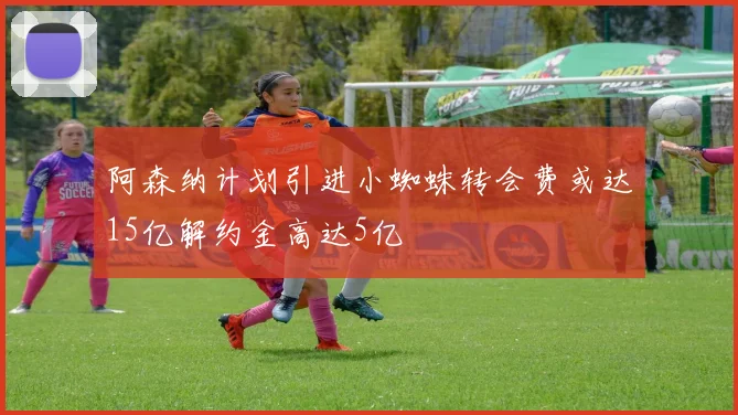 阿森纳计划引进小蜘蛛转会费或达15亿解约金高达5亿