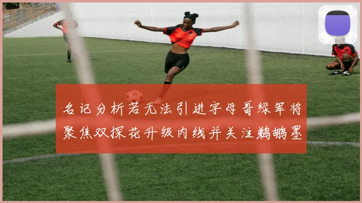名记分析若无法引进字母哥绿军将聚焦双探花升级内线并关注鹈鹕墨菲