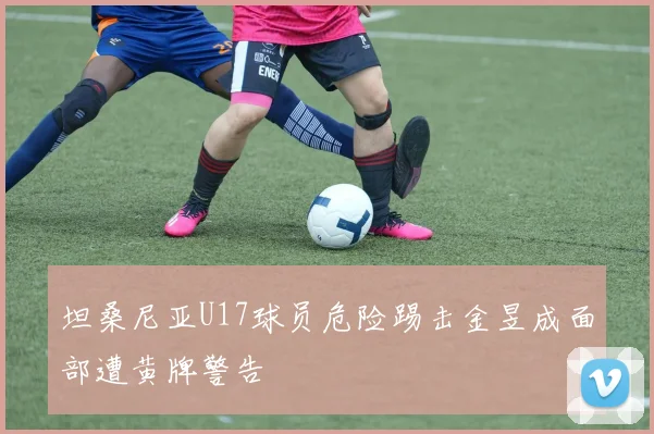 坦桑尼亚U17球员危险踢击金昱成面部遭黄牌警告