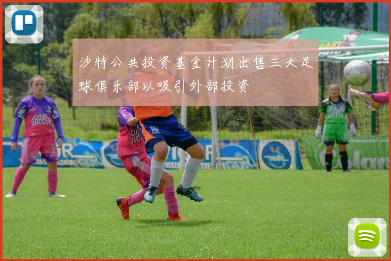 沙特公共投资基金计划出售三大足球俱乐部以吸引外部投资